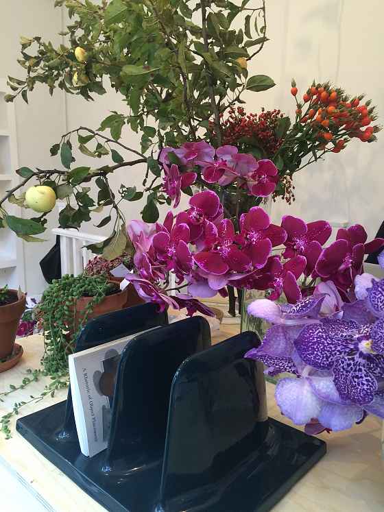 when colour meets flower