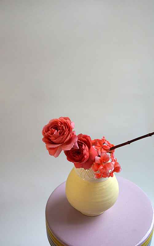 when colour meets flower